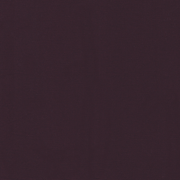 25079