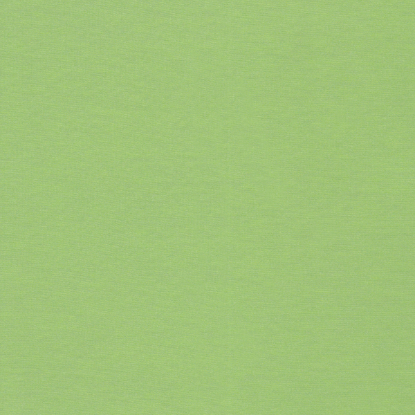25095