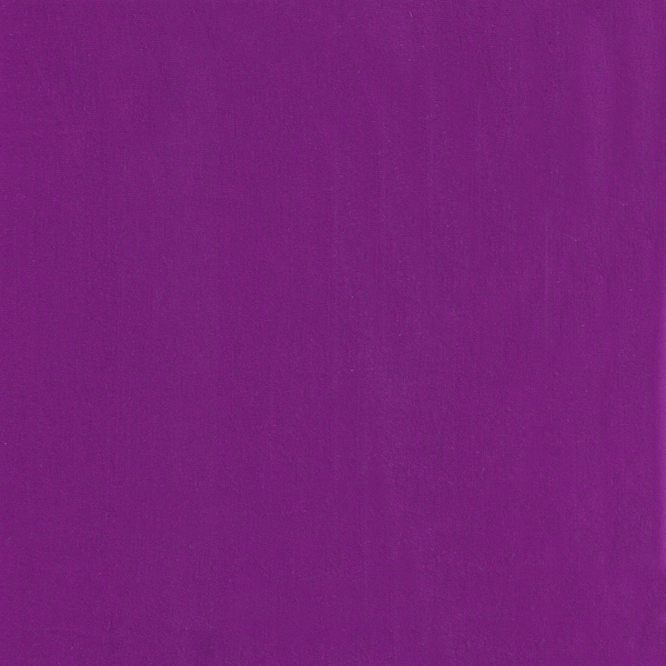 12961