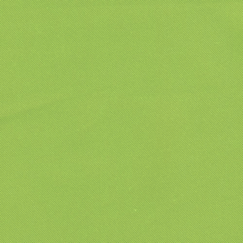 Lime Rhino Canvas