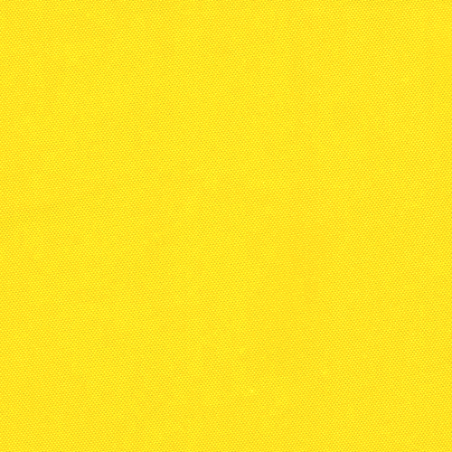 Yellow Rhino Canvas