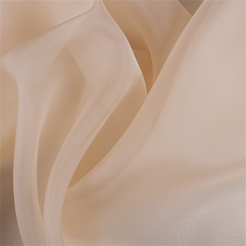 Champagne Silk Organza