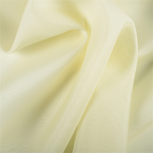 Pale Green Silk Organza