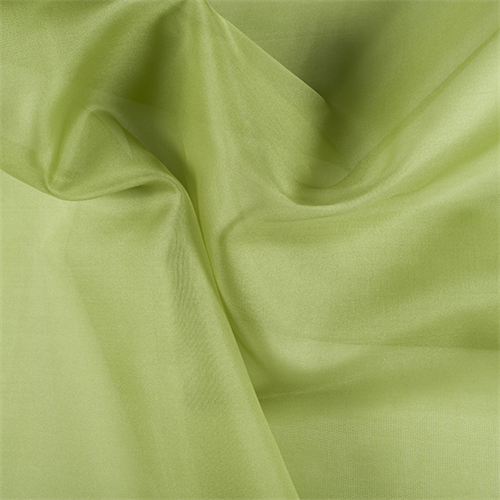 Apple Green Silk Organza