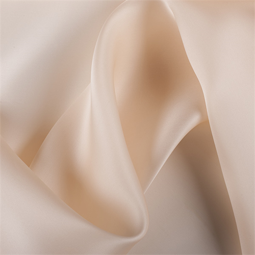 Champagne Silk Satin Organza
